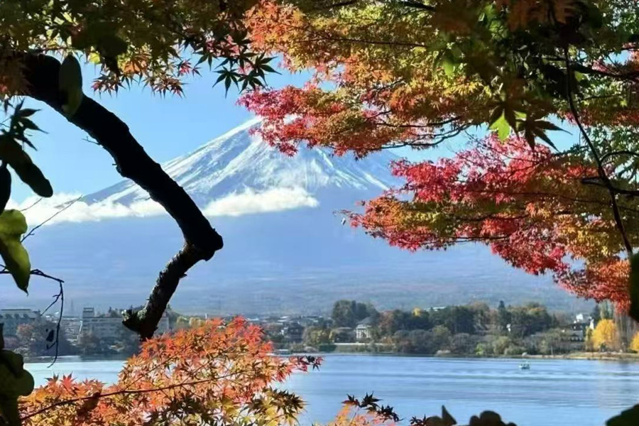 日本全境旅行包車服務（中文司機） 